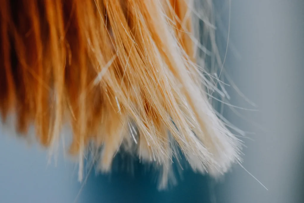 Zbliżenie na blond włosy, miękkie i delikatne, z widoczną teksturą i blaskiem.