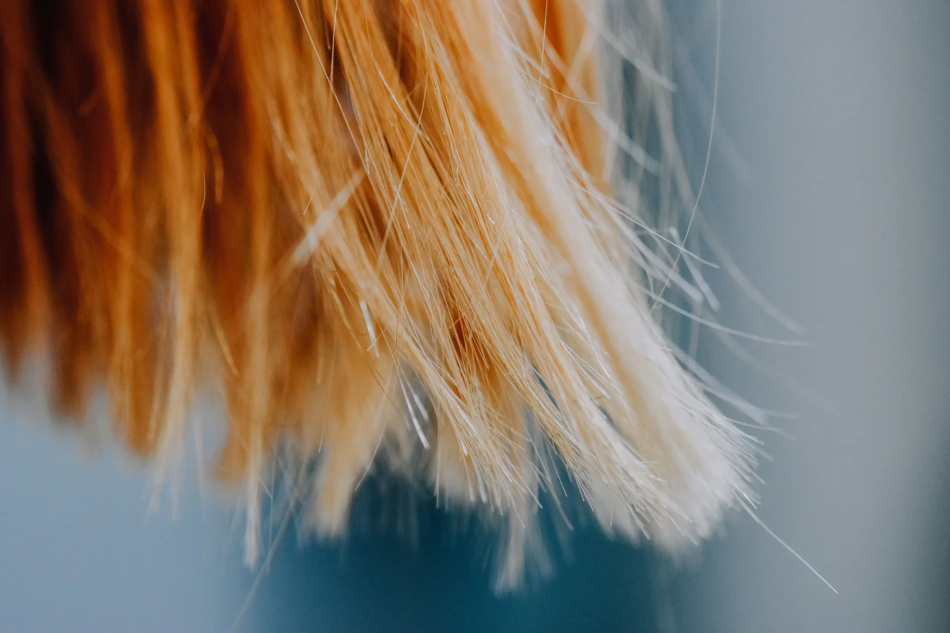 Zbliżenie na blond włosy, miękkie i delikatne, z widoczną teksturą i blaskiem.